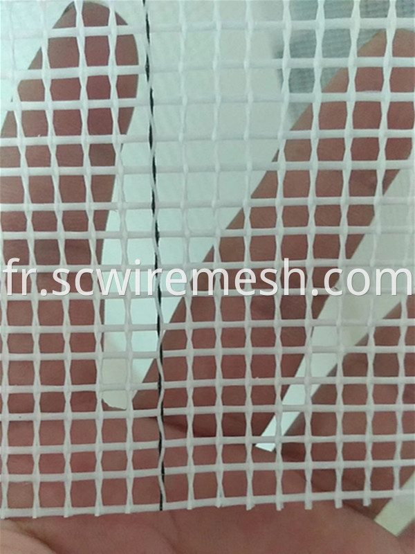 Fiber Glass Mesh